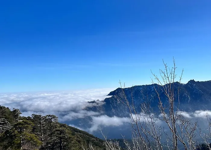 Vue Confort Au Coeur De La Nature