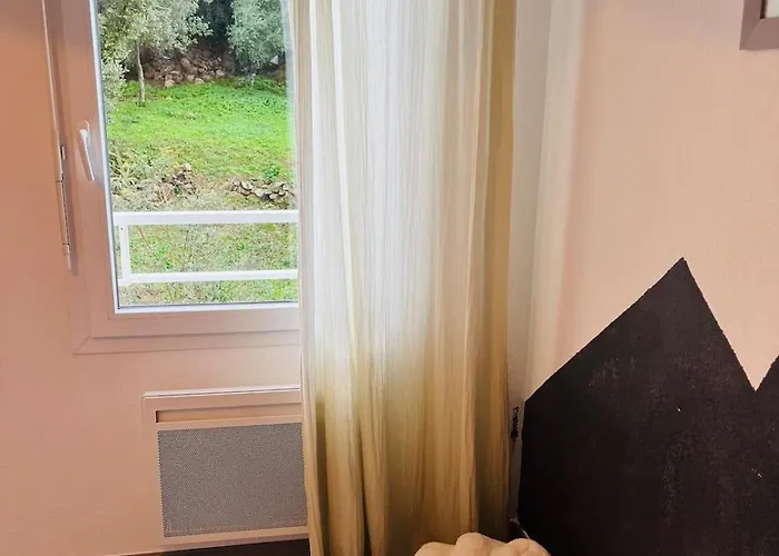 Vue Confort Au Coeur De La Nature